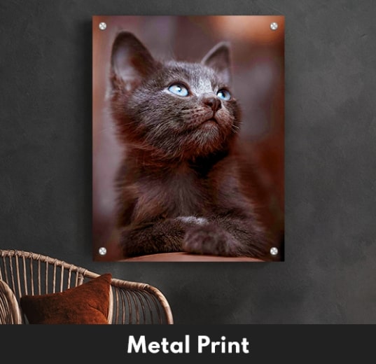 Best_Pet_Gift_Canvas_Portrait