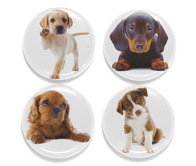 Create a Custom Pet Photo Magnet