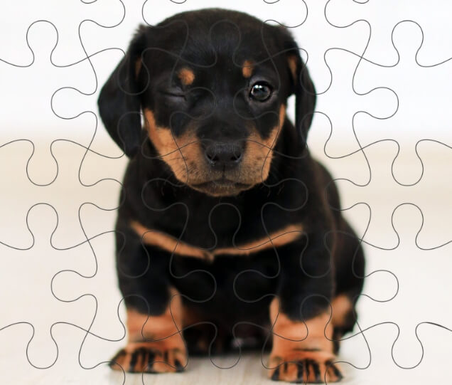 Custom Pet Photo Puzzles