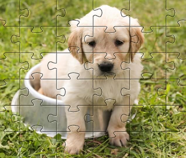 Custom Pet Photo Puzzles