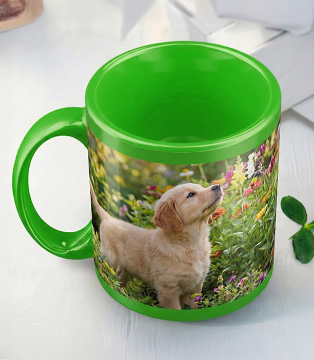 Green Photo Mug