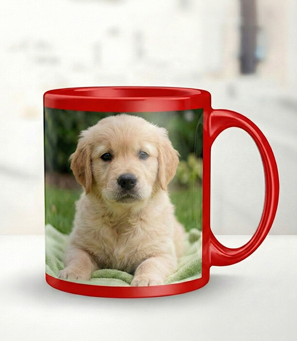 Red Photo Mug