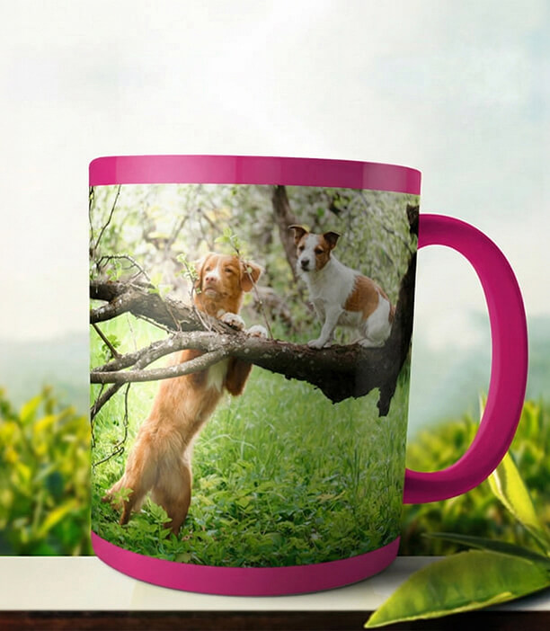 Pink Photo Mug